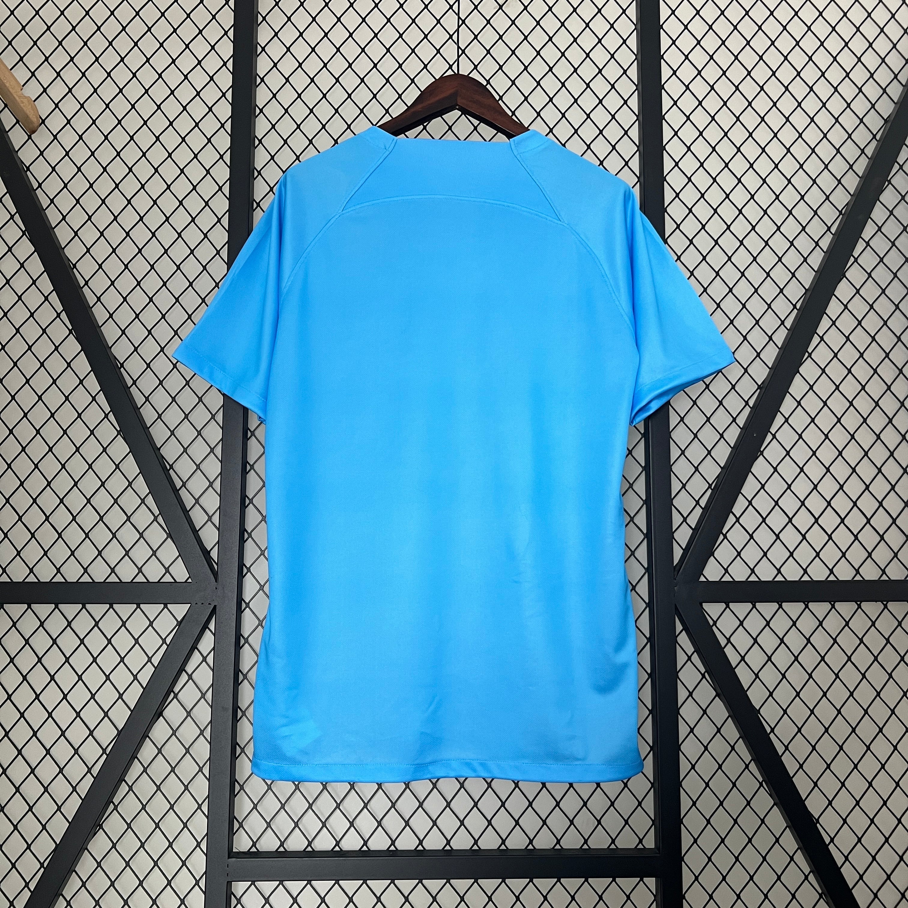 netherlands-lion-2024-25-concept-shirt-1