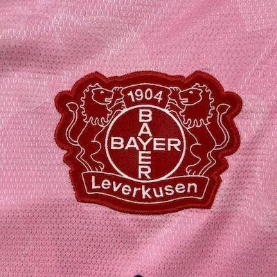 2025/26 Bayer 04 Leverkusen Uitshirt