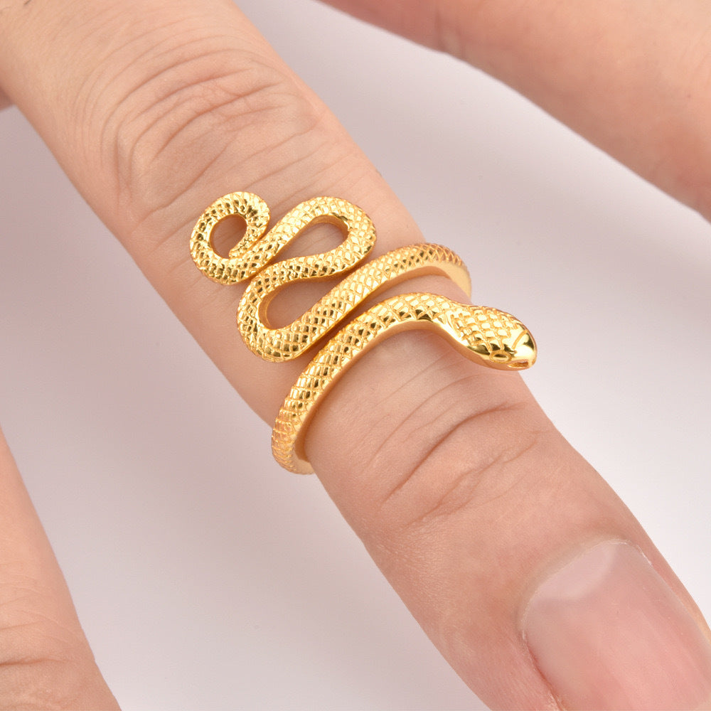 Anello Serpente d'Argento